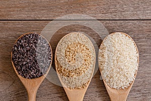 Paddy rice, riceberry ,brown coarse rice and white thai jasmine rice in wooden spoon  isolated on old rustic wood table