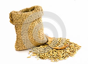 Paddy rice seed.