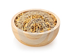 Paddy rice seed in woo bowl on white background