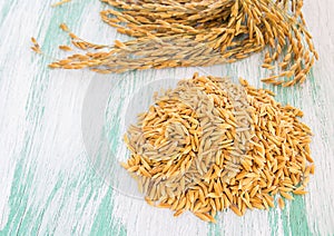Paddy rice seed on wooden background