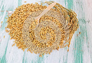 Paddy rice seed in a wooden spoon