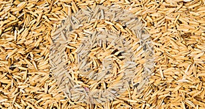 paddy rice for texture