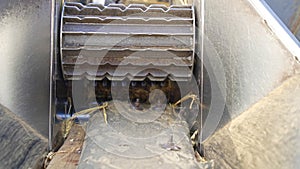 Paddy threshing machine cylinder closeup to push up husk. Modern chaff cutter machine closeup