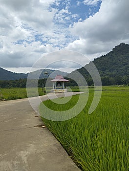 Beautiful village in matale town