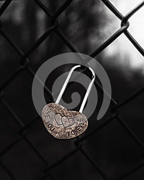 Padlock with a heart-shaped design, locked and secured with a wire fence