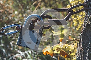 Padlock on an iron chain in an overgrown garden