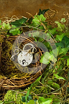 Padlock in nest