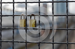 Padlocks hanging on a wire rope. Love locks on netting fence at the brigde in New Wesminster BC photo