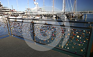 Padlocks of love on metal guardrail at marina with sailboats in Silo Park, Auckland, New Zealand
