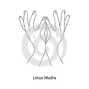 Padma Mudra / Gesture of Lotus. Vector
