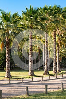 Padre Hurtado Park formerly known as Parque Intercomunal de la Reina at La reina district, Santiago