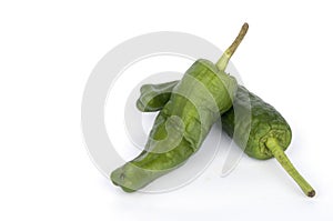 Padron peppers photo