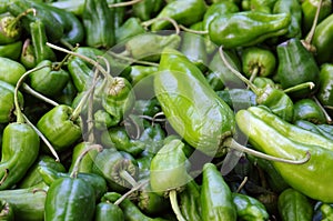 Padron Peppers photo