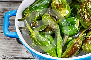 Padron peppers photo