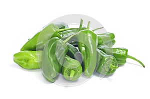 Padron peppers typical of Spain photo