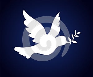 Paece dove white on blue gradient background