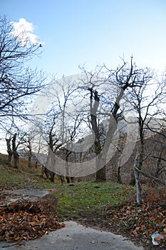 PAESAGGIO MONTANO INVERNALE,SUD ITALIA. photo