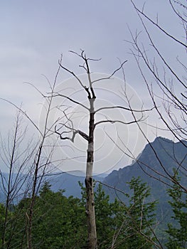 Paesaggio montano. photo