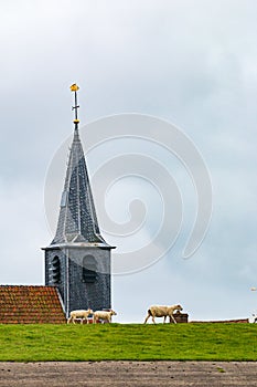 Church tower of dutch village Paesens-Moddergat, Friesland photo