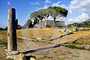 Paestum