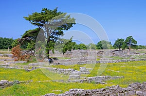 Paestum excavations photo