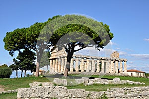 Paestum Temple