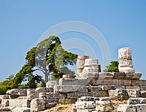 Paestum temple - Italy