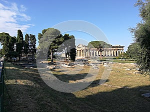 Paestum - View of the Temple of Neptune