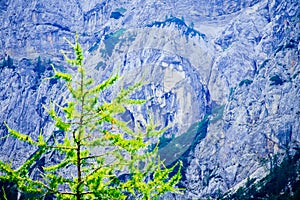 Pagan Girl face rock formation