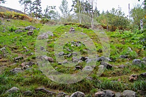 Pagan idols in autumn forest, Karelia