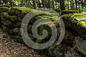 The pagan wall, Mont Sainte Odile, Ottrott, Alsage, France