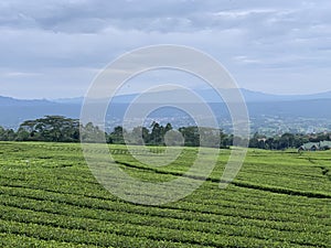 Pagar Alam lanscape from mountain photo