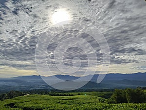 Pagar Alam tea garden, South Sumatra, Palembang, Indonesia photo