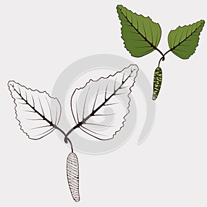 Page for coloring . Nature.Trees .