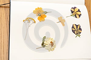 Page with dried flowers.