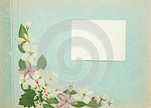 Page from an old photo album blue color. Scrapbooking element decorated with leaves, flowers and petals apple tree. Rustic,