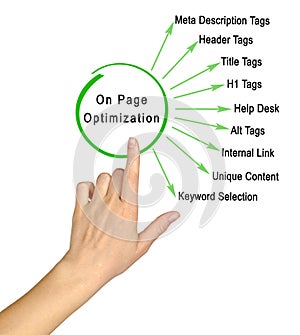 On Page Optimization