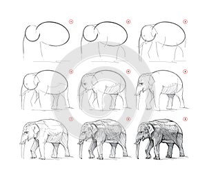Page shows how to learn to draw from life sketch of the Asian elephant. Pencil drawing lessons. Educational page for artists. photo