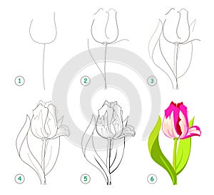 Page shows how to learn step by step to draw beautiful flower tulip. Developing children skills for drawing and coloring.