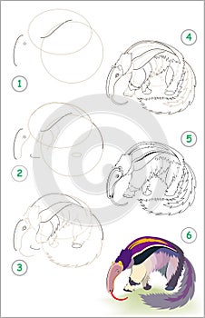 Page shows how to learn step by step to draw a cute anteater. Developing children skills for drawing and coloring. Vector image.