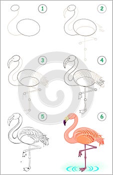 Page shows how to learn step by step to draw a cute flamingo. Developing children skills for drawing and coloring.