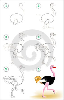 Page shows how to learn step by step to draw a cute ostrich. Developing children skills for drawing and coloring.