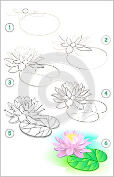 Page shows how to learn step by step to draw a water lily flower. Developing children skills for drawing and coloring.