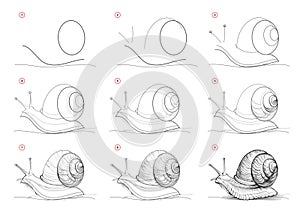 Page shows how to learn to draw from life sketch a crawling snail. Pencil drawing lessons. Educational page for artists. Textbook
