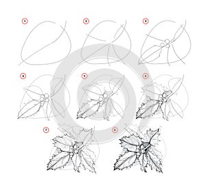 Page shows how to learn to draw from life sketch a holly berries branch. Pencil drawing lessons. Educational page for artists.