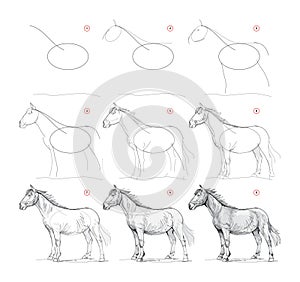 Page shows how to learn to draw from life sketch a horse. Pencil drawing lessons. Educational page for artists. Textbook for