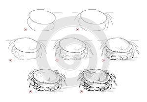 Page shows how to learn to draw sketch a brown crab. Pencil drawing lessons. Educational page for artists. Textbook for developing