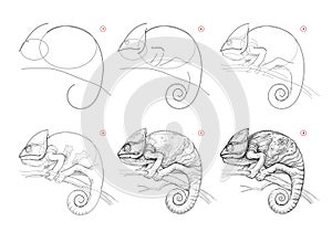 Page shows how to learn to draw sketch of chameleon. Creation step by step pencil drawing. Educational page for artists. Textbook