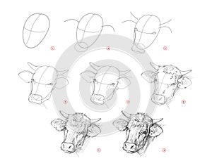 Page shows how to learn to draw sketch a cow head. Pencil drawing lessons. Educational page for artists. Textbook for developing