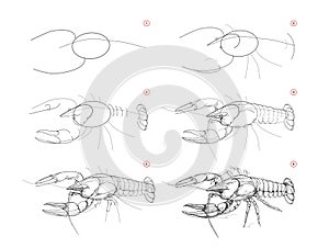 Page shows how to learn to draw sketch of crayfish. Creation step by step pencil drawing. Educational page for artists. Textbook